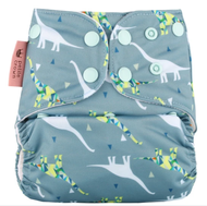 Petite Crown All-in-two Nappies