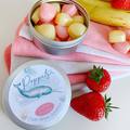 25% OFF! Poppets Cloth Wipe Solution: Tin of 20: Summer Smoothie